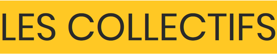 Organisation partenaire 4