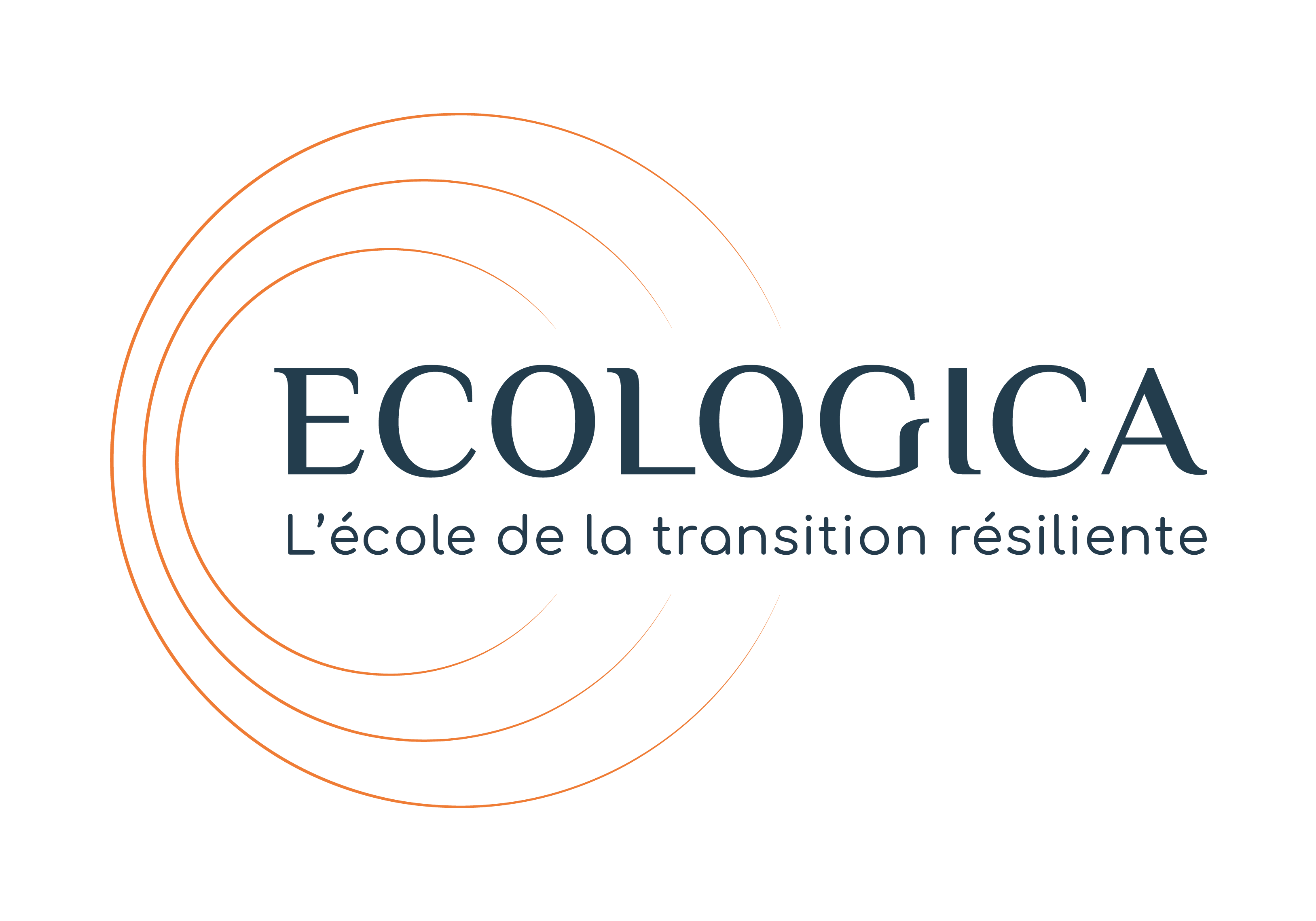 Organisation partenaire 31
